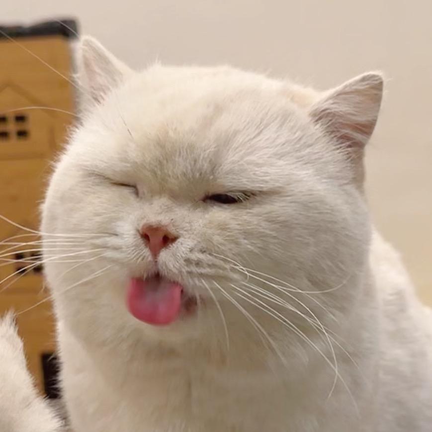 一辆蛋饼