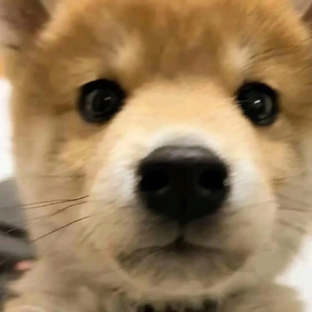 心里有数