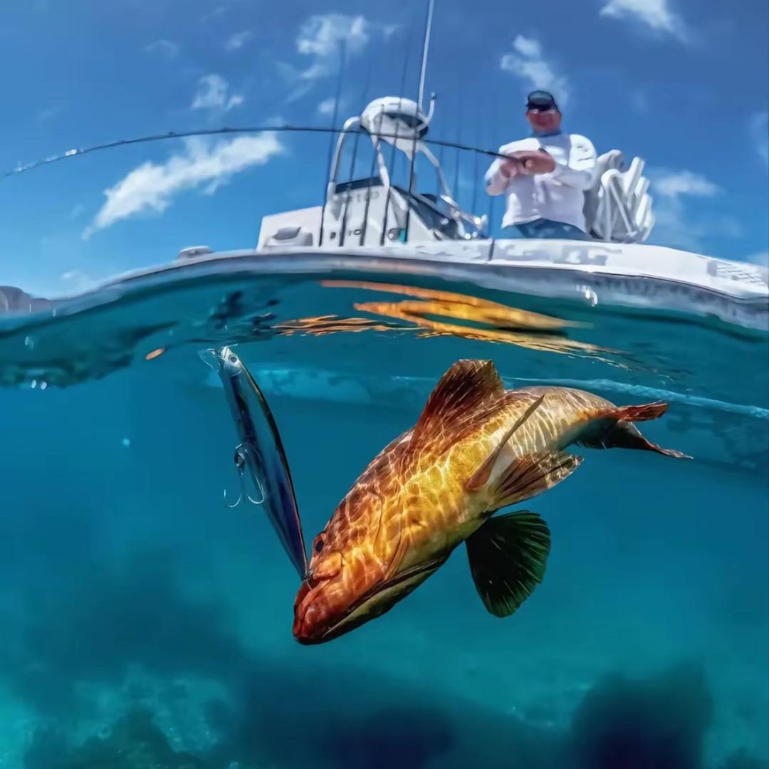 爱打野的小老弟🔥