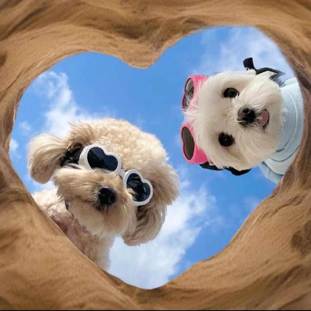 是婉贤吖❤️