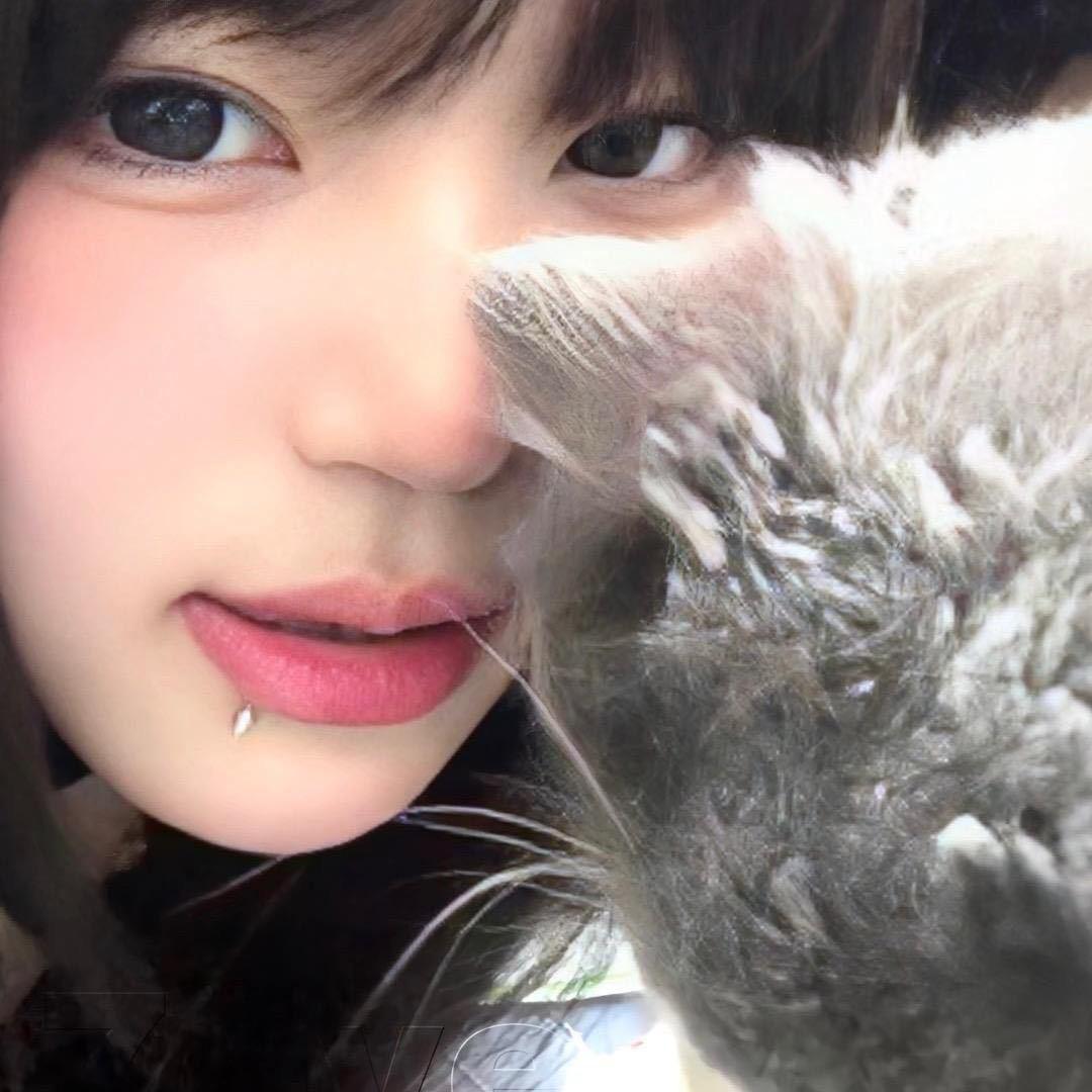 ^小羊快熟了💨