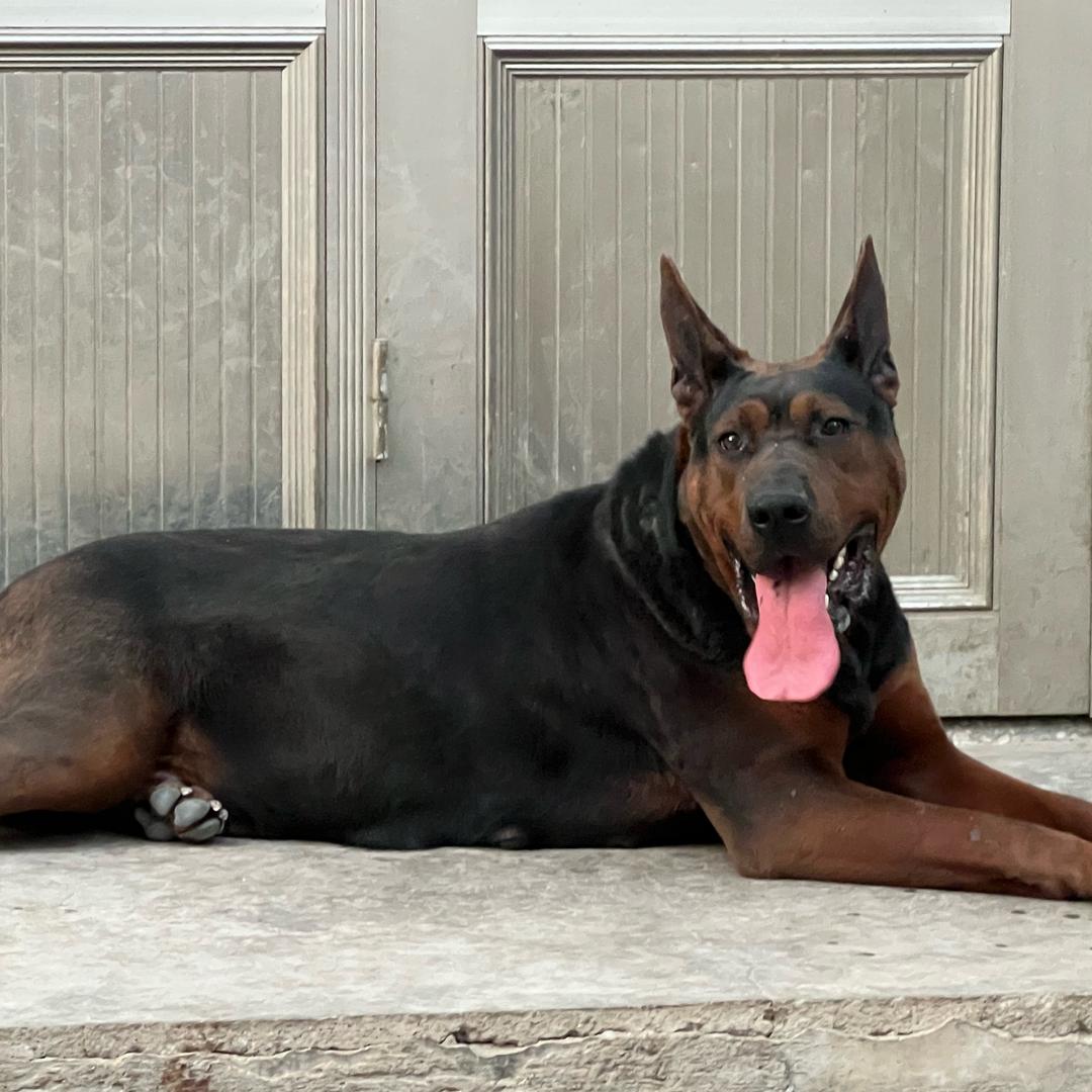 改革经济抡大锤💰