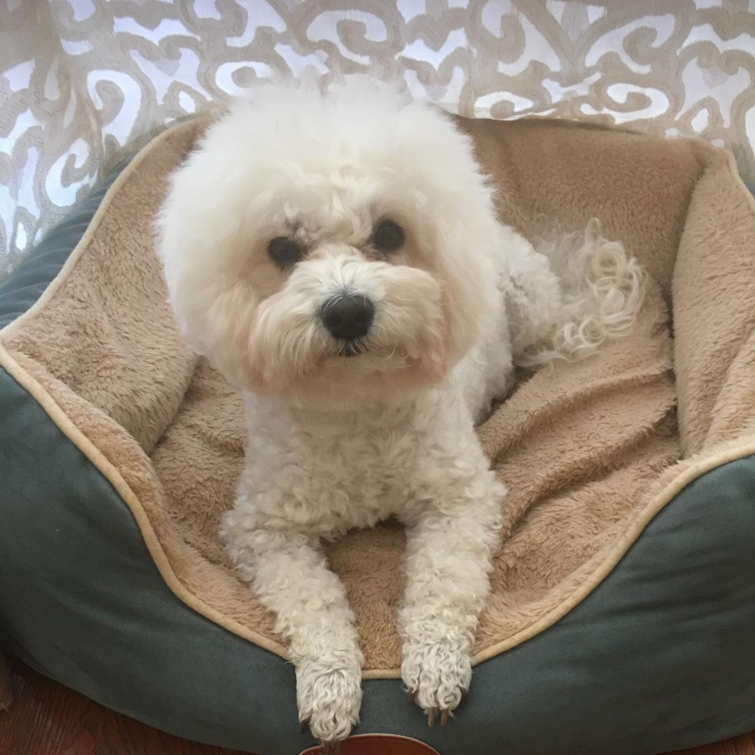 小不点妈妈