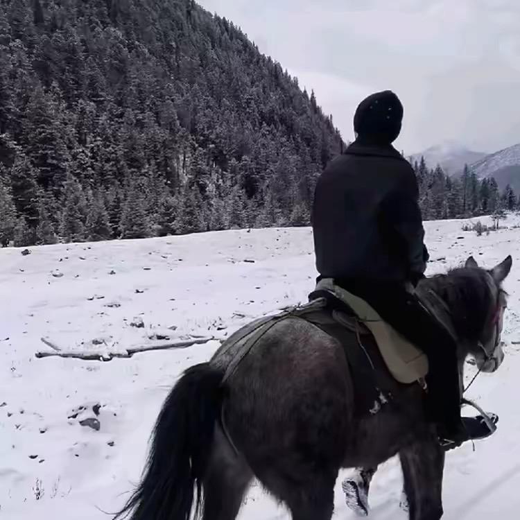 陈博林