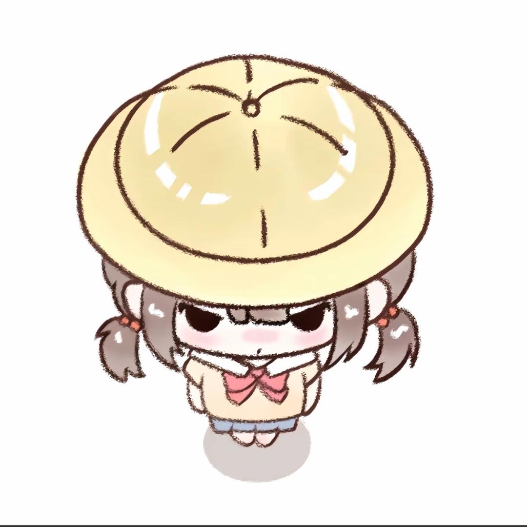 小冉不淑女.