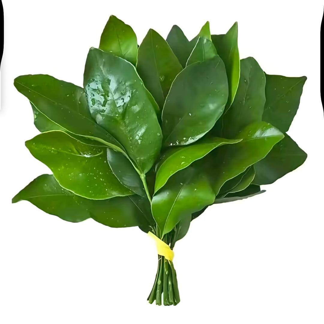 财神爷的小跟班🤗