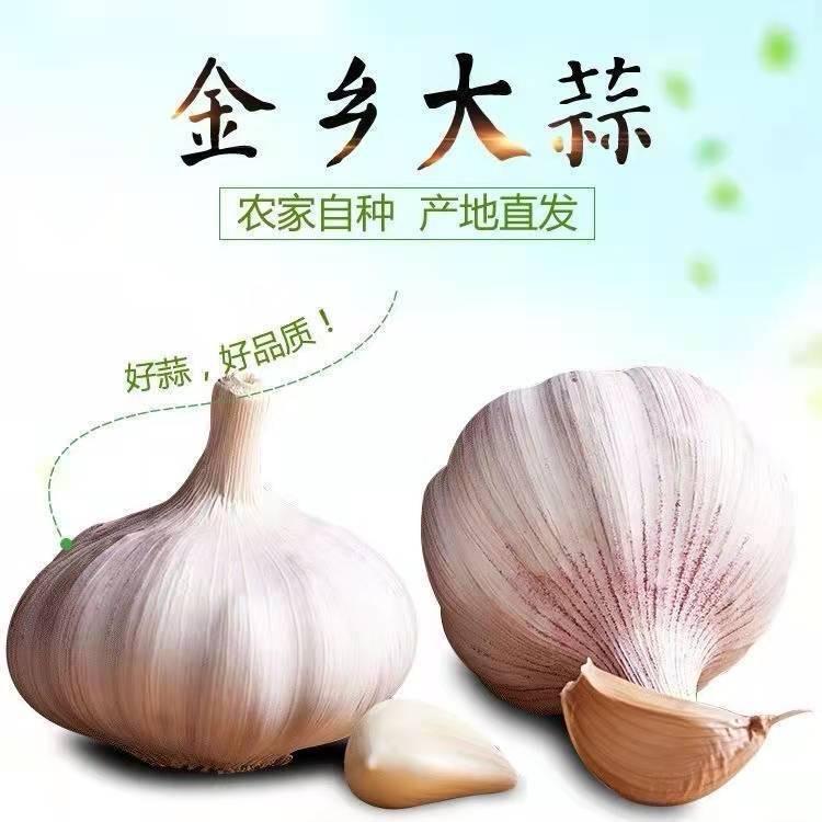 hxzxnm888888