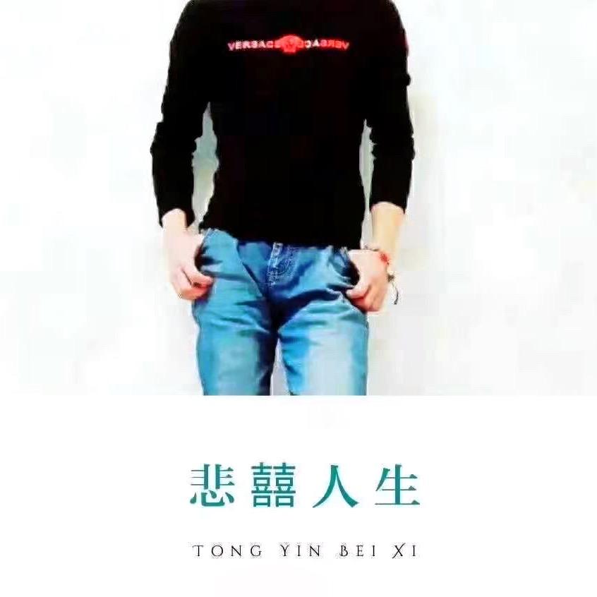 筝鸢涛