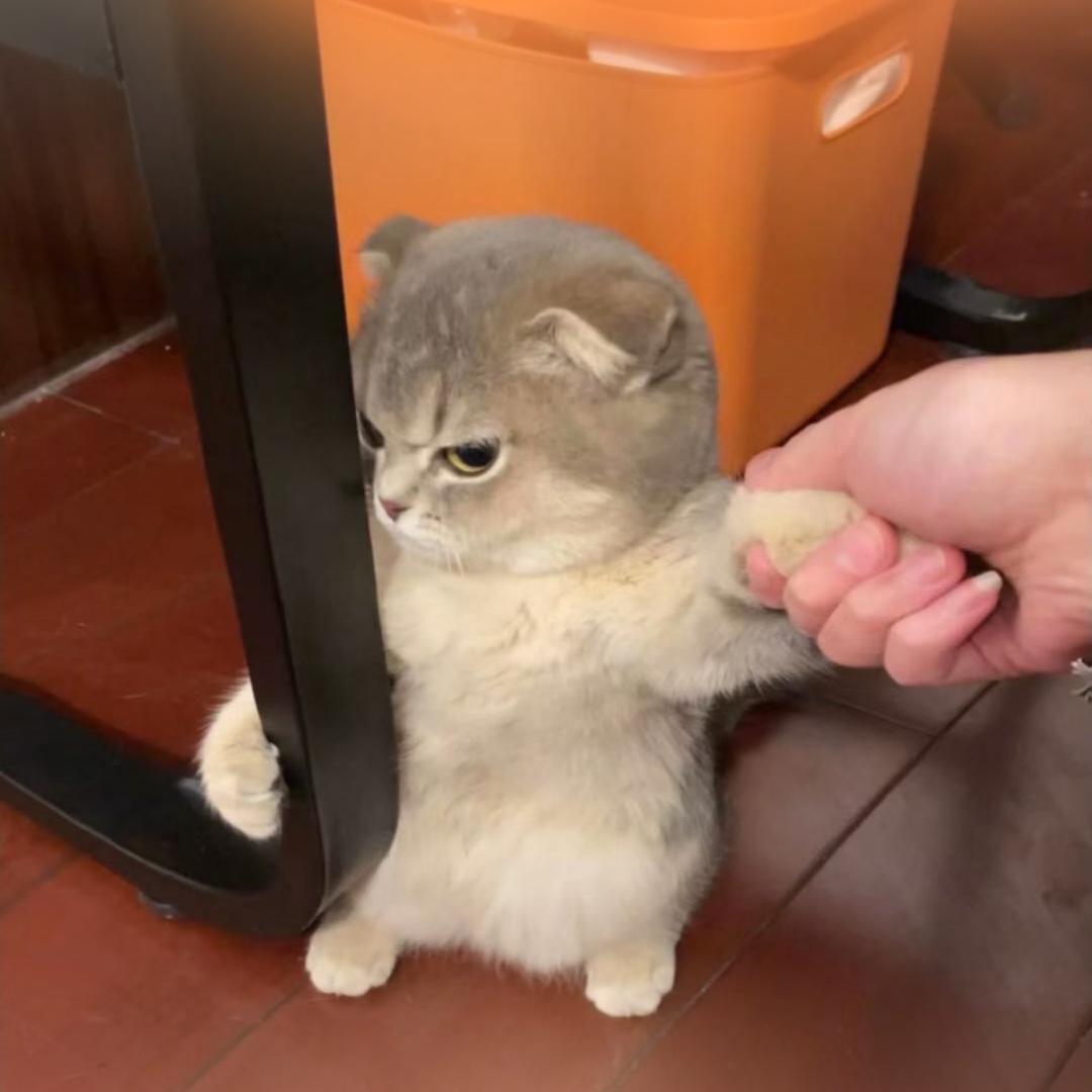 *