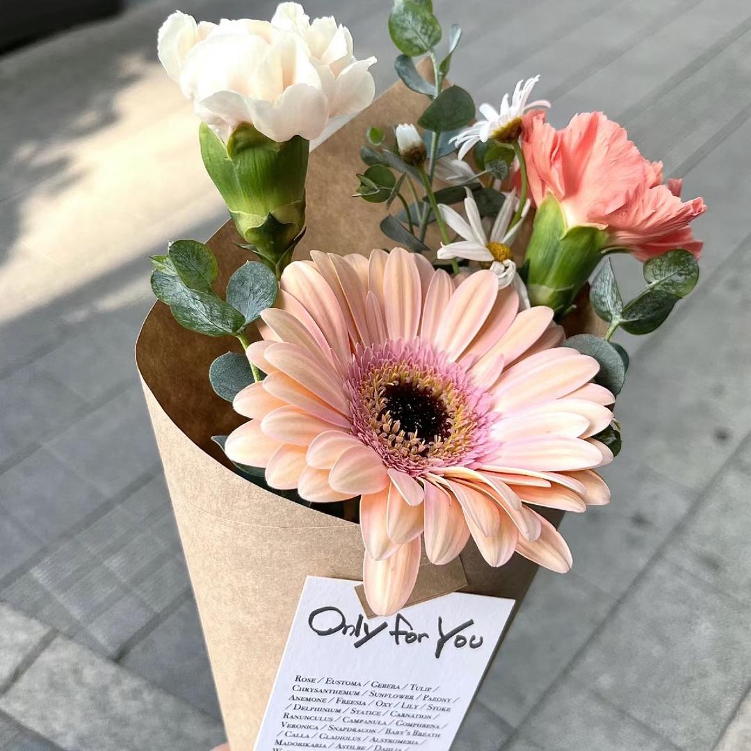 兰宝的生活好物分享