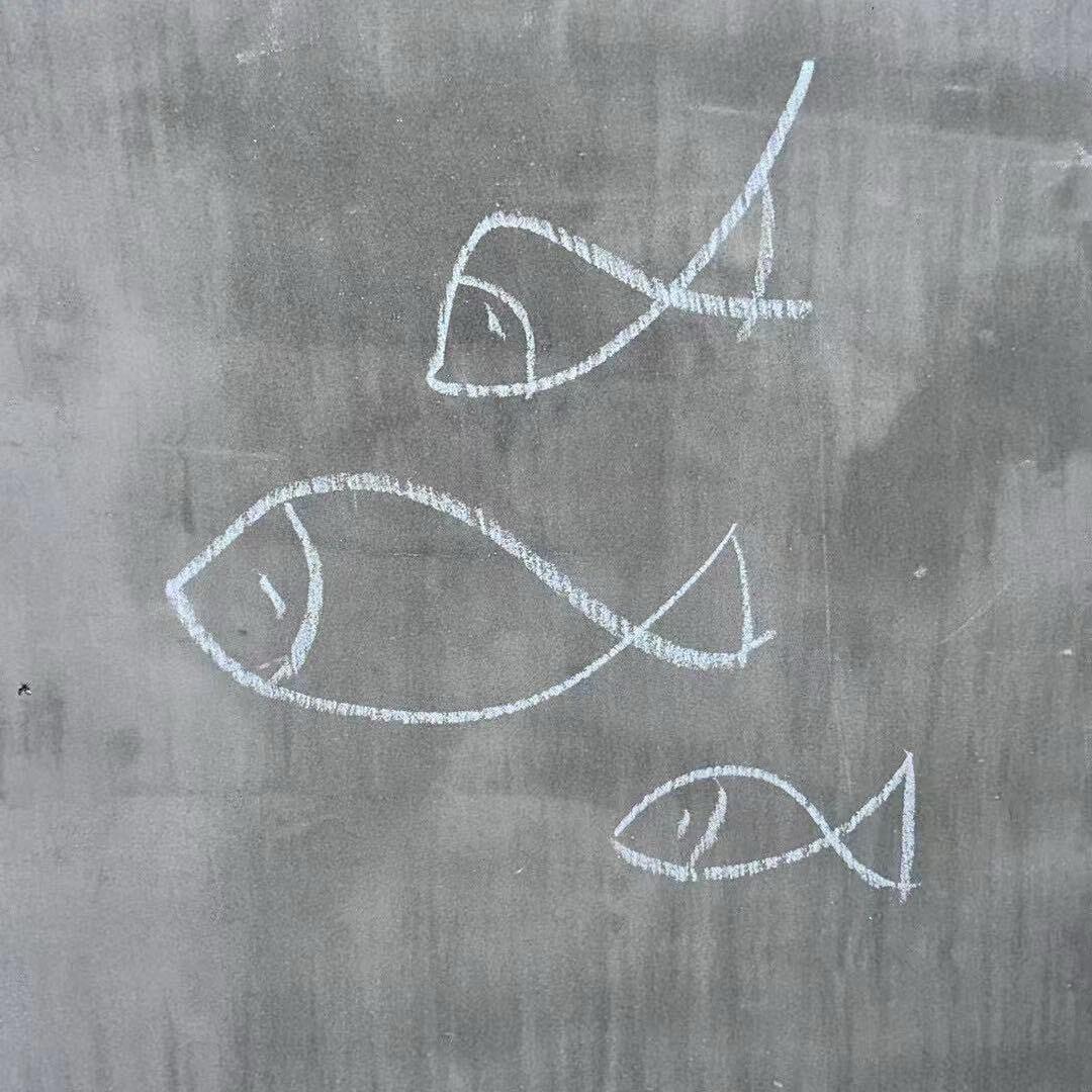 鱼真靓