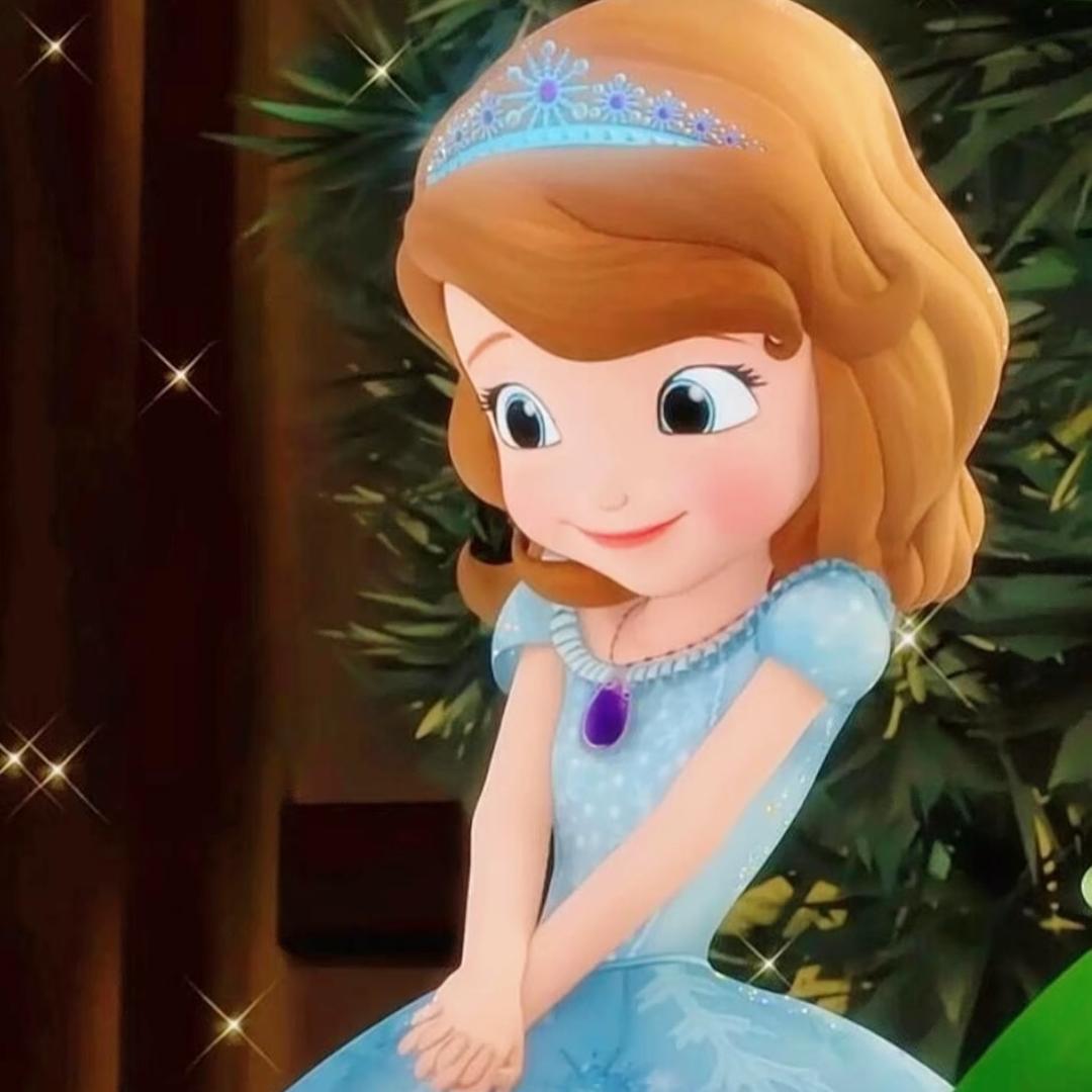 ☾加冕的公主 ⊹₊♛₊⊹