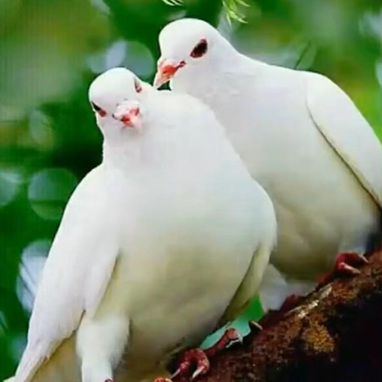 @暖心向阳