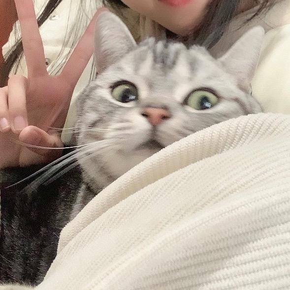 波波菜