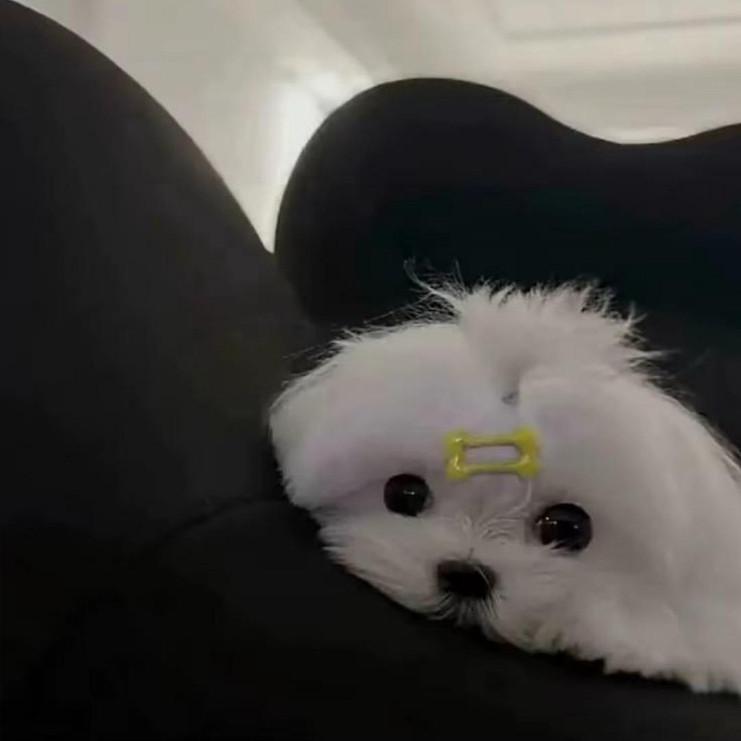 李谦益