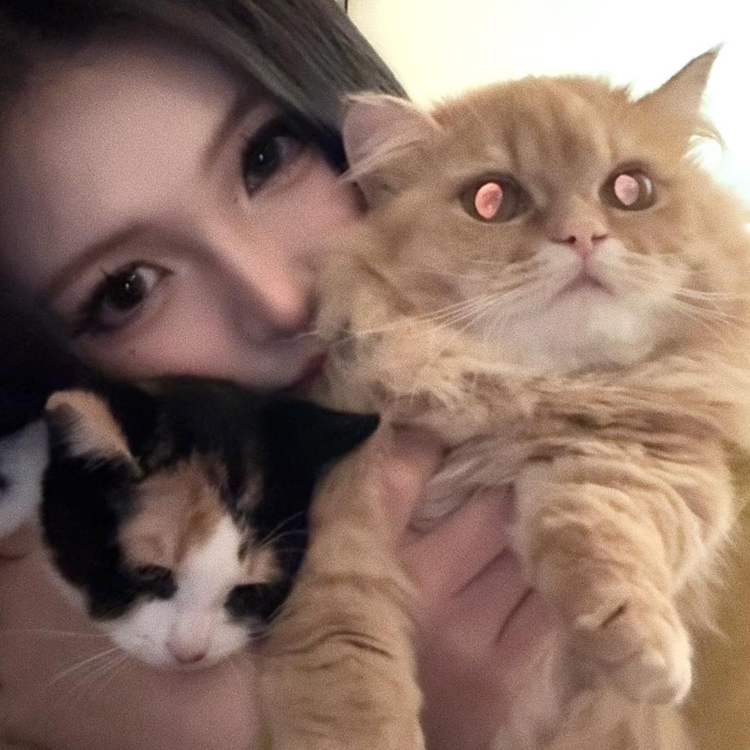 我还有猫要养