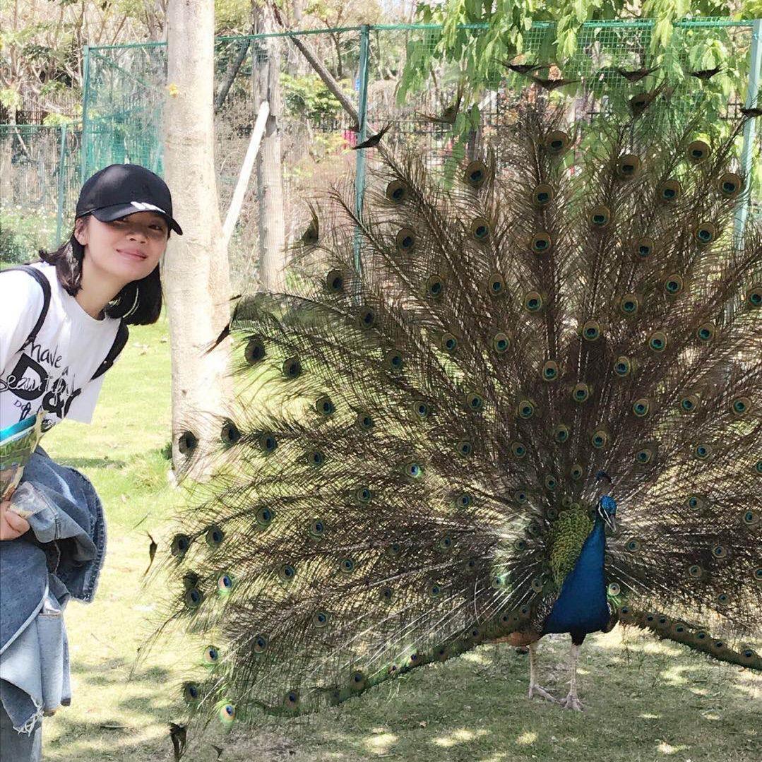 💞᭄ཽ࿆爱财 悦已꧔ꦿ᭄❀ ͜҉: