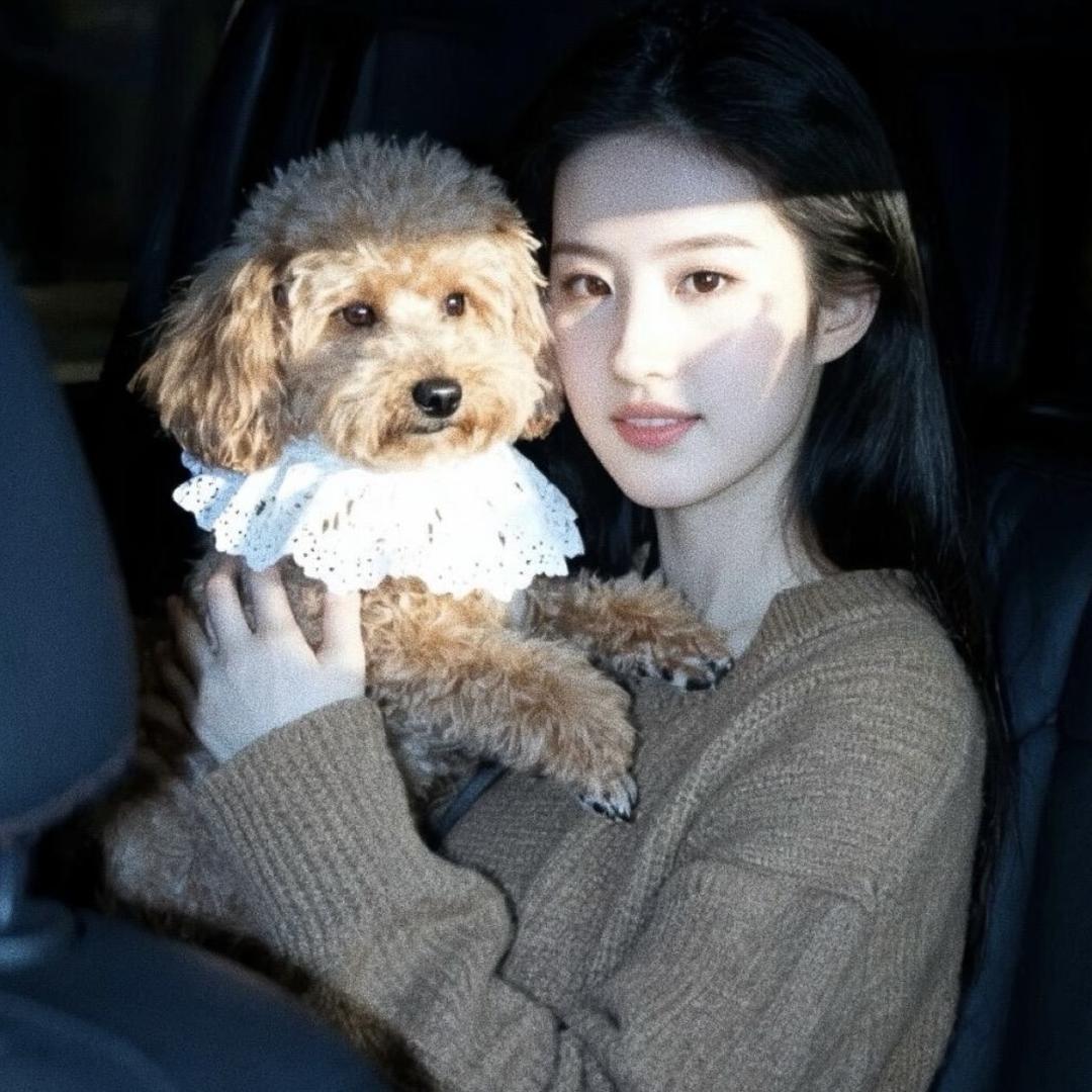 三明市三区张先生食品商行