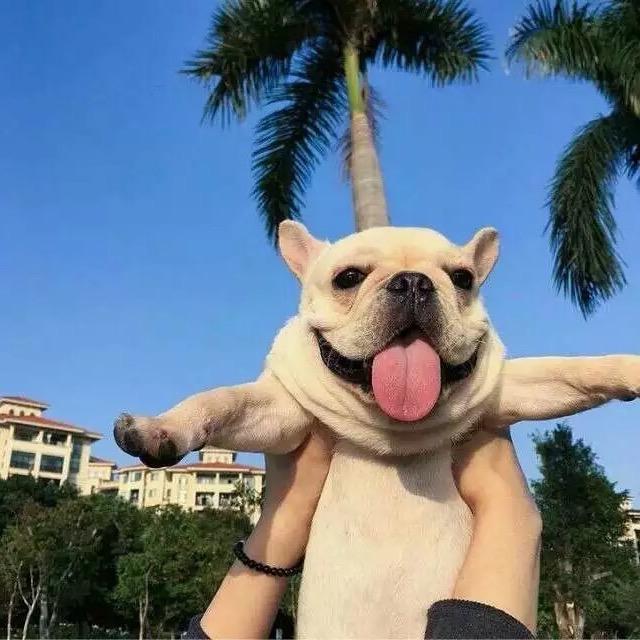 渔翁