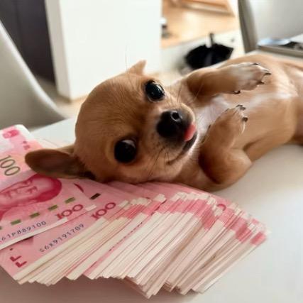 她们说我是个迷人小坏蛋