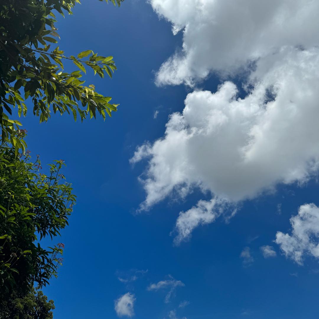小宝贝