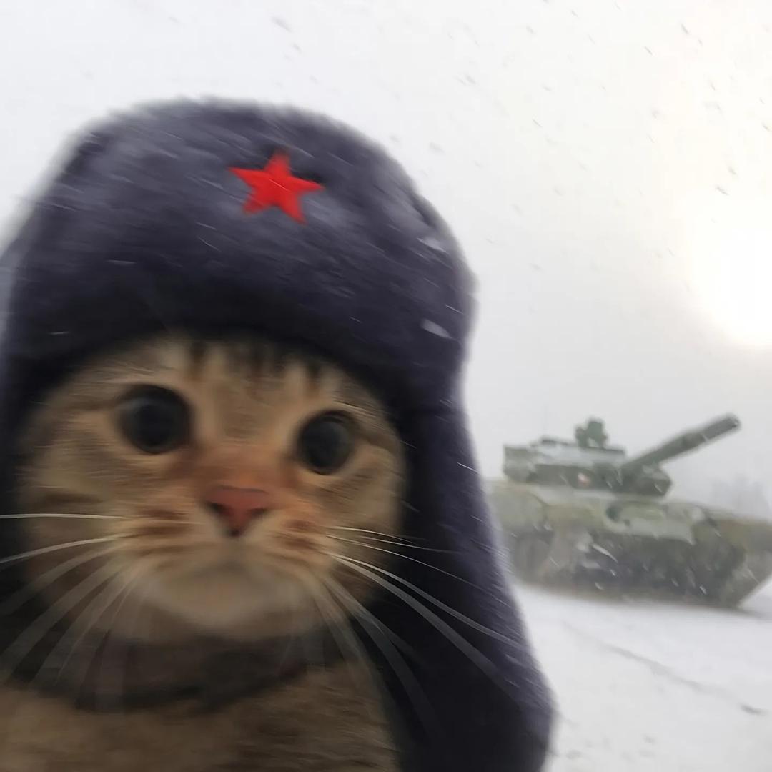 冰糖鸭梨🇨🇳