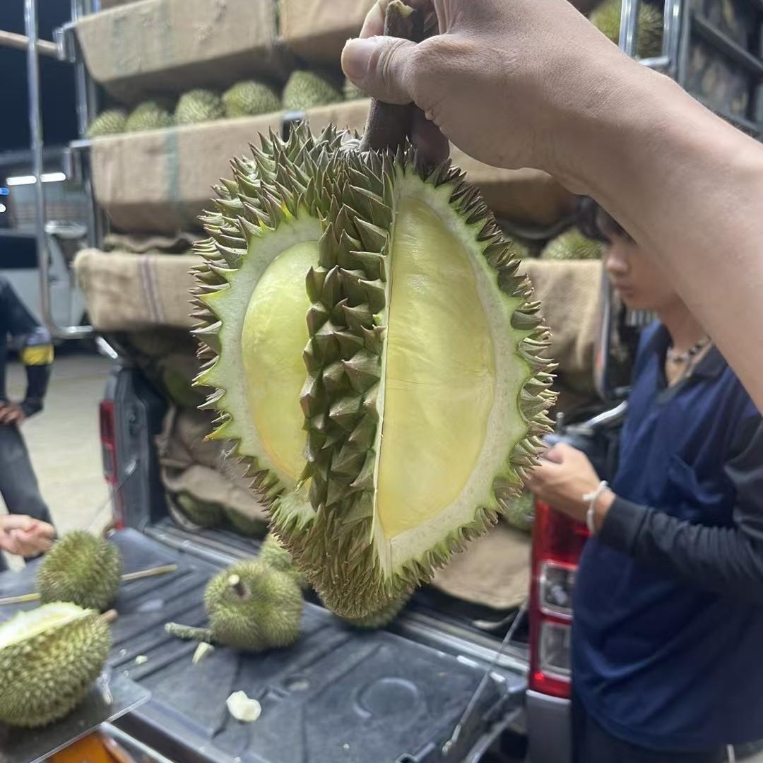 无颜家鲜榴莲