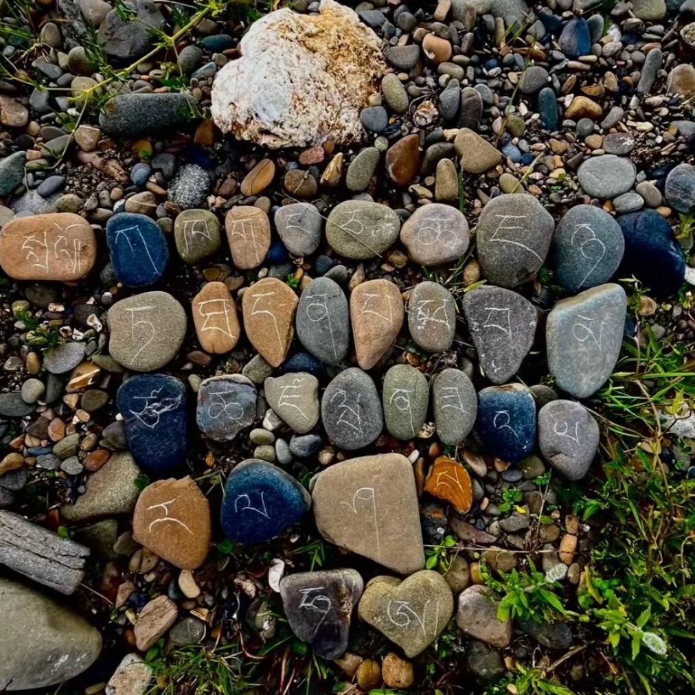 ཉི་༉ 向日葵🌻(大号)