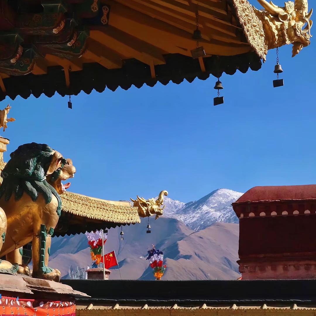 ཡི་ཤེས་།🌷