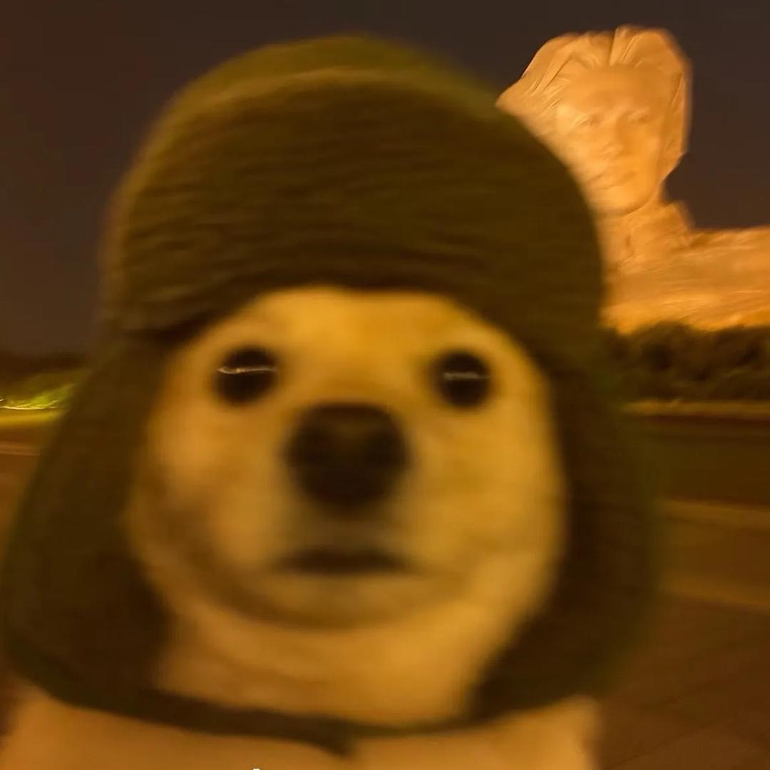 呆头鹅kck