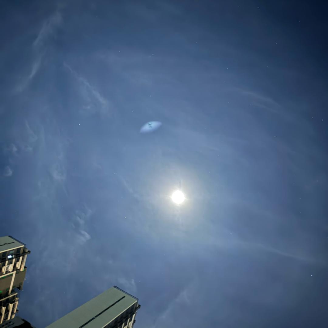 @一只陆🦌⚆ɞ⚆