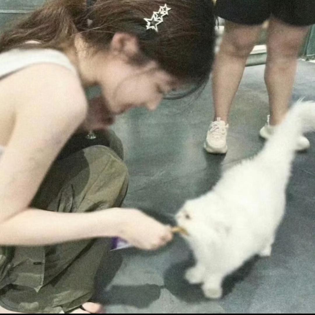 泡泡~