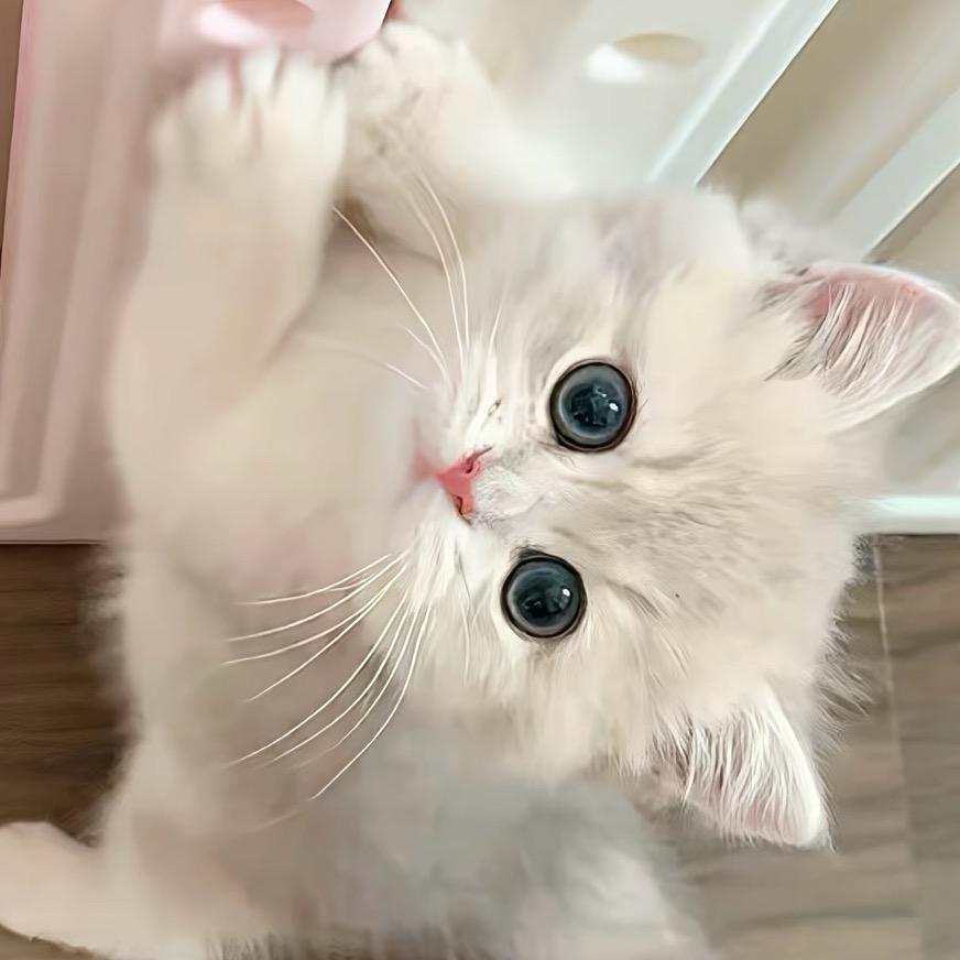 心悸O.o