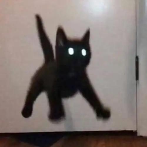 赖賴老师🇨🇳