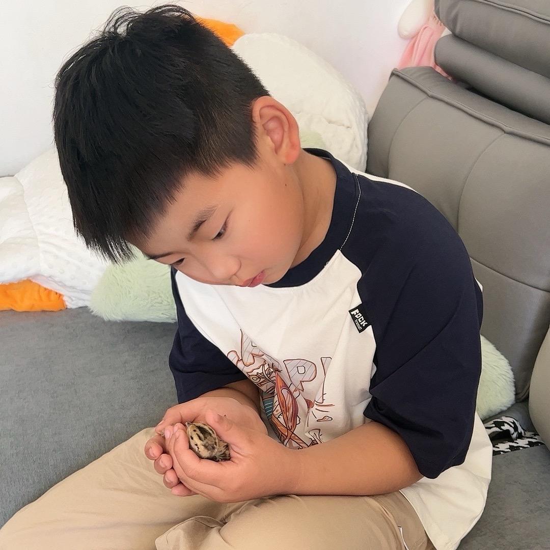 北极^_^以北