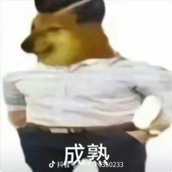 拂晓
