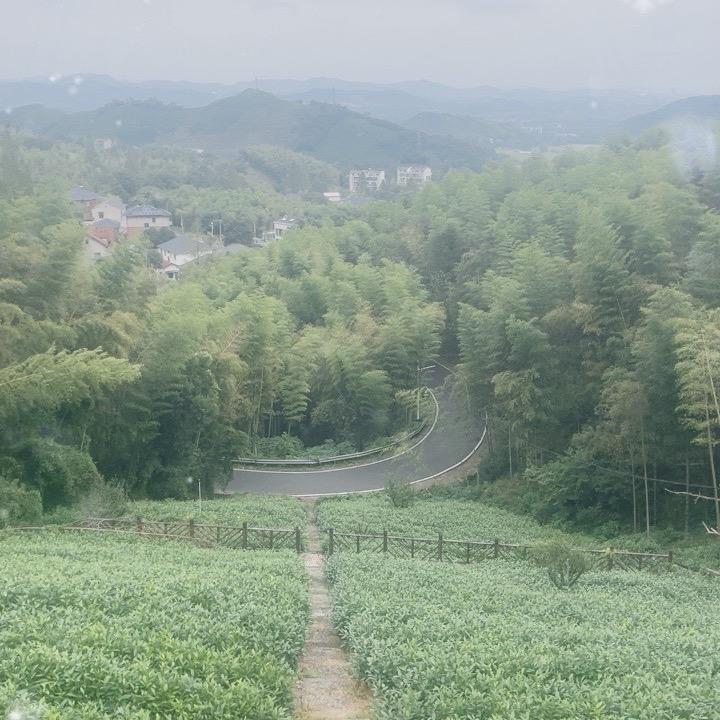 我们不一样