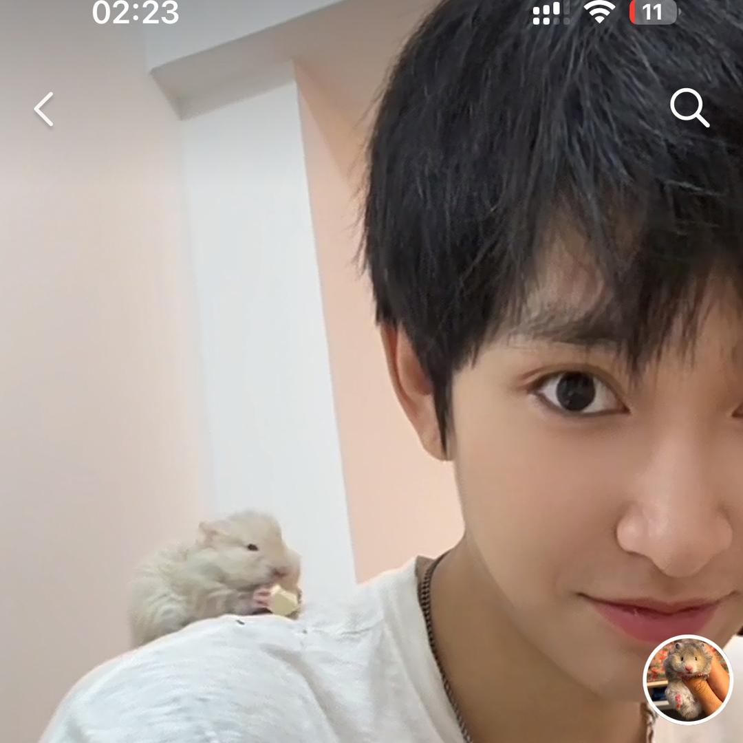 我是兔子大王