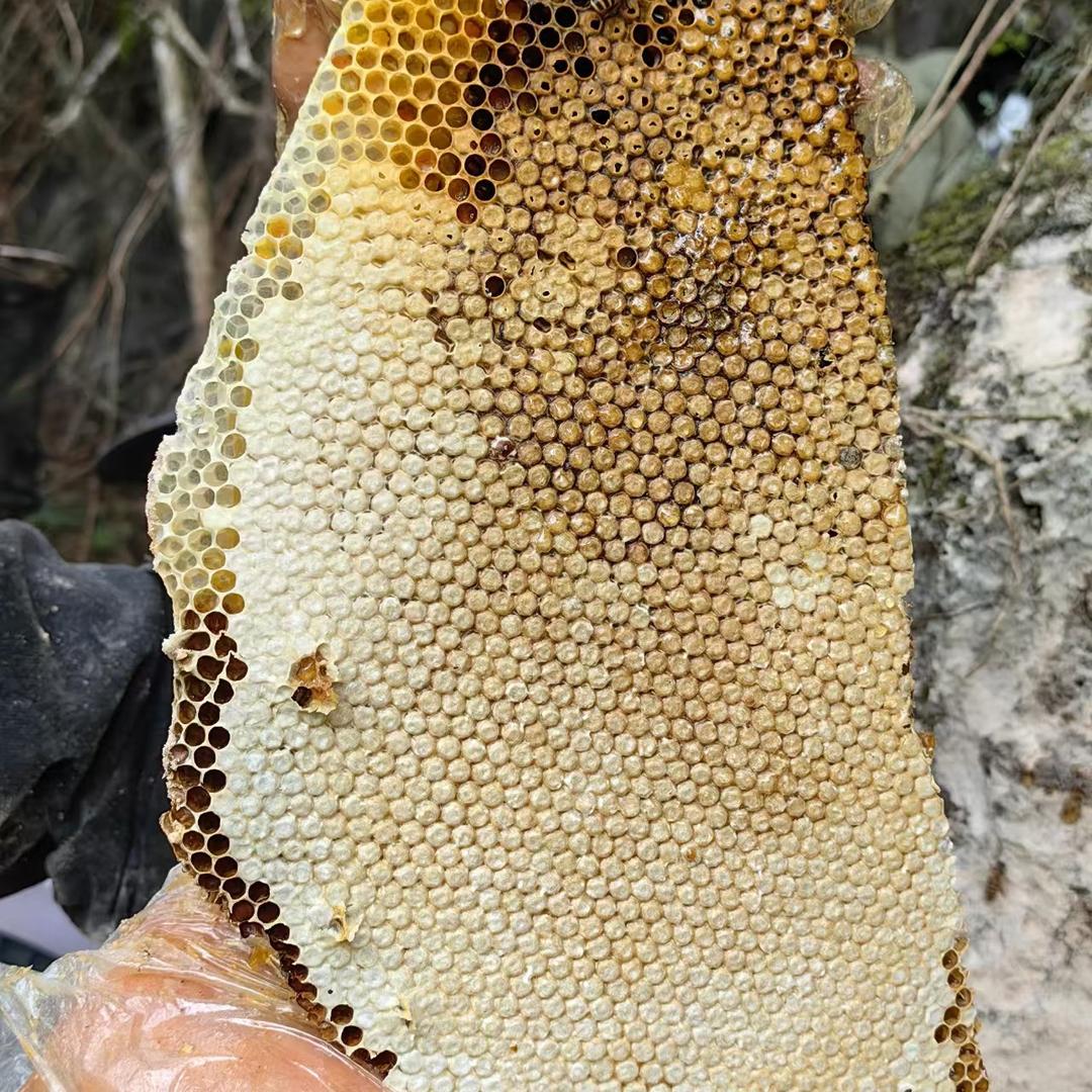 蜂与天