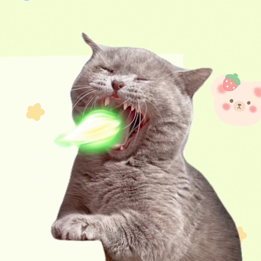 猫咪九九归一