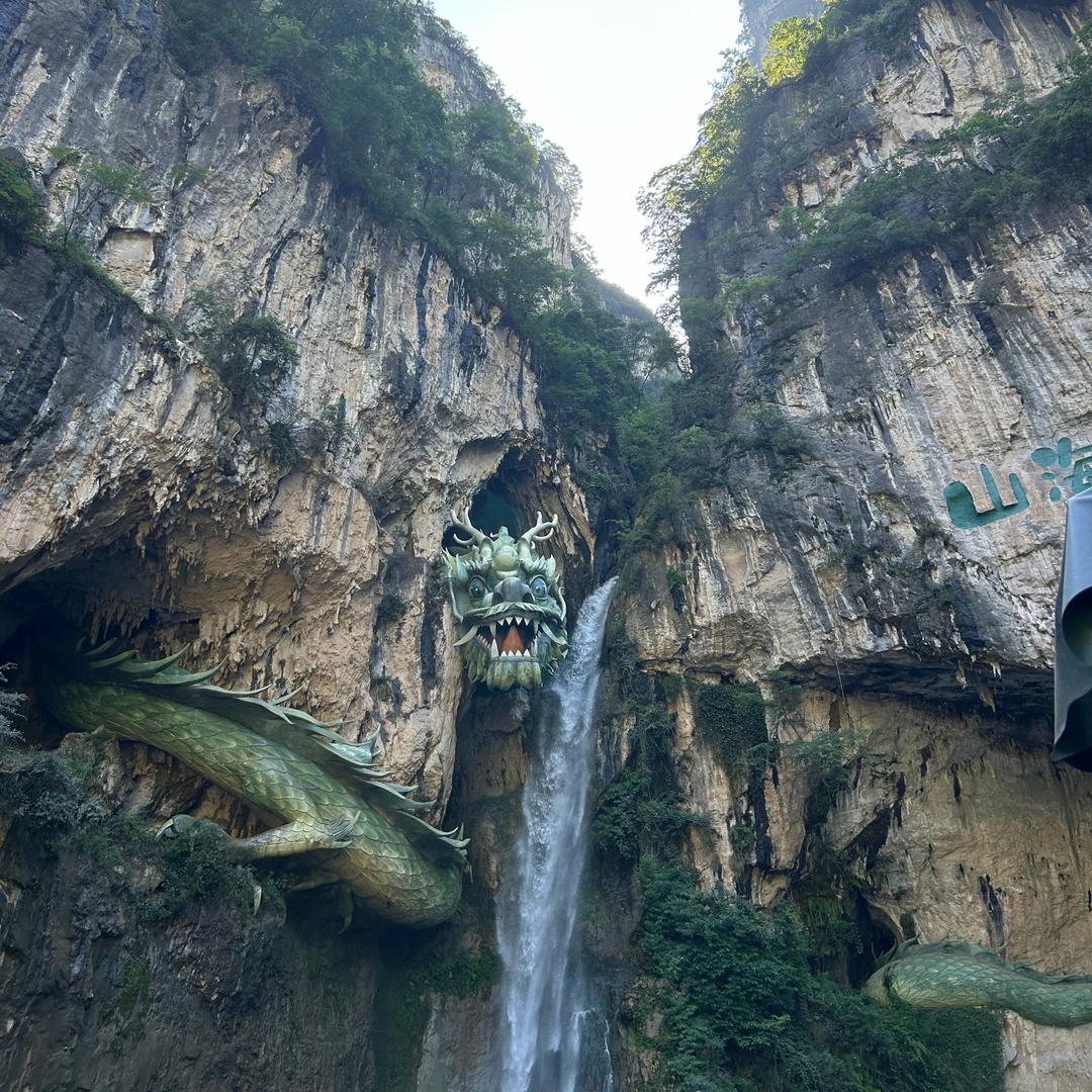 杨