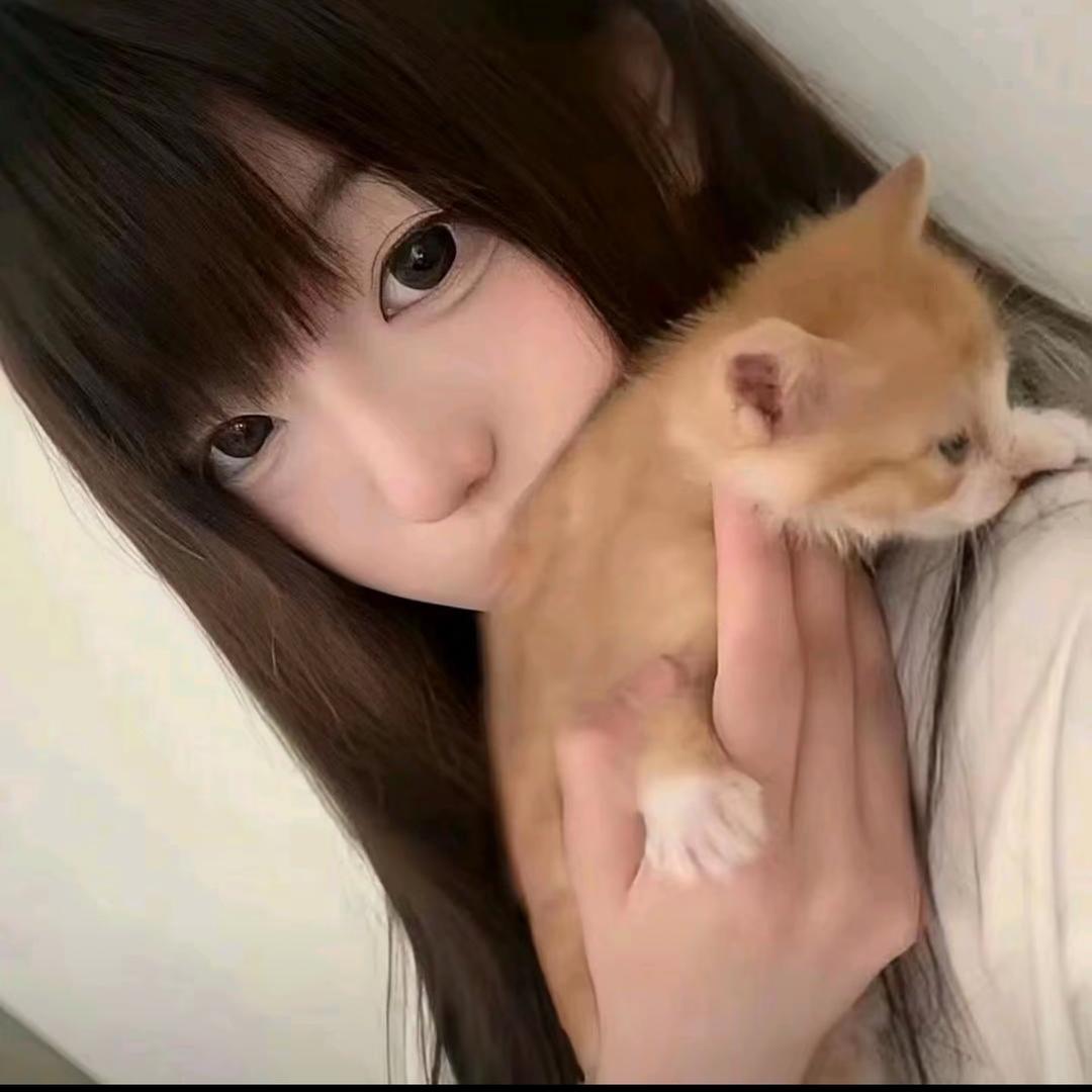 🌈猫猫🐈‍⬛