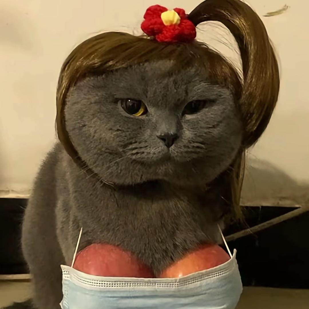 用户585689089
