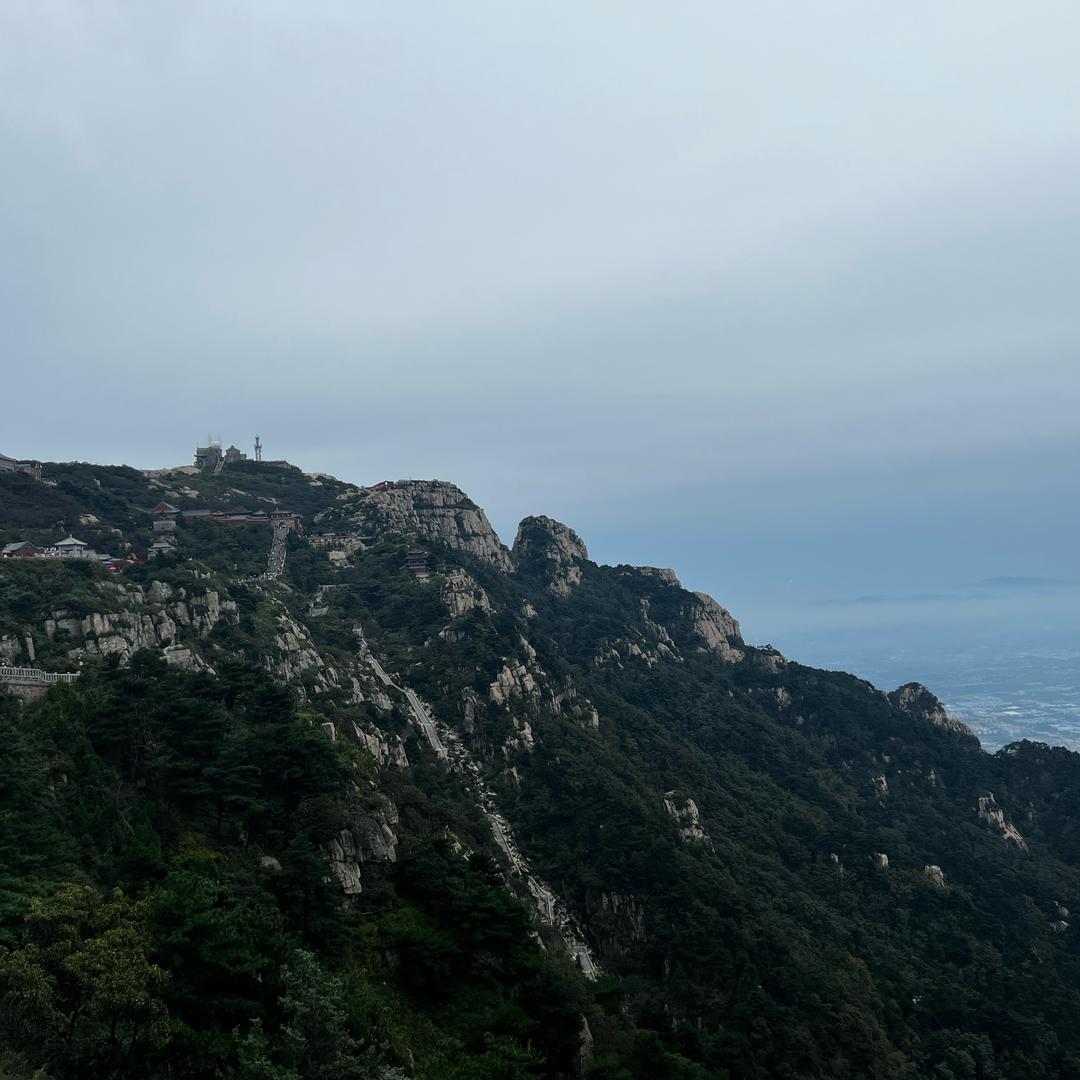 人间清醒