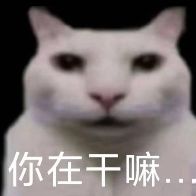 奏奏（三角洲行动）