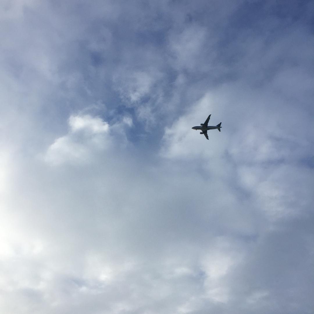 谷碗蒸