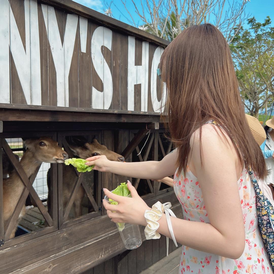 四婶的糖果碎片🧩（姐夫）