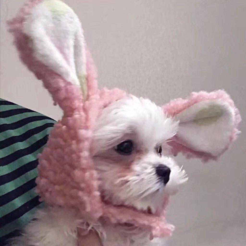 一生平安（撤回狗老冯子飞飞飞)