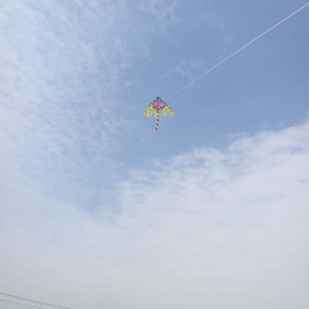 国芳（拒绝合拍）