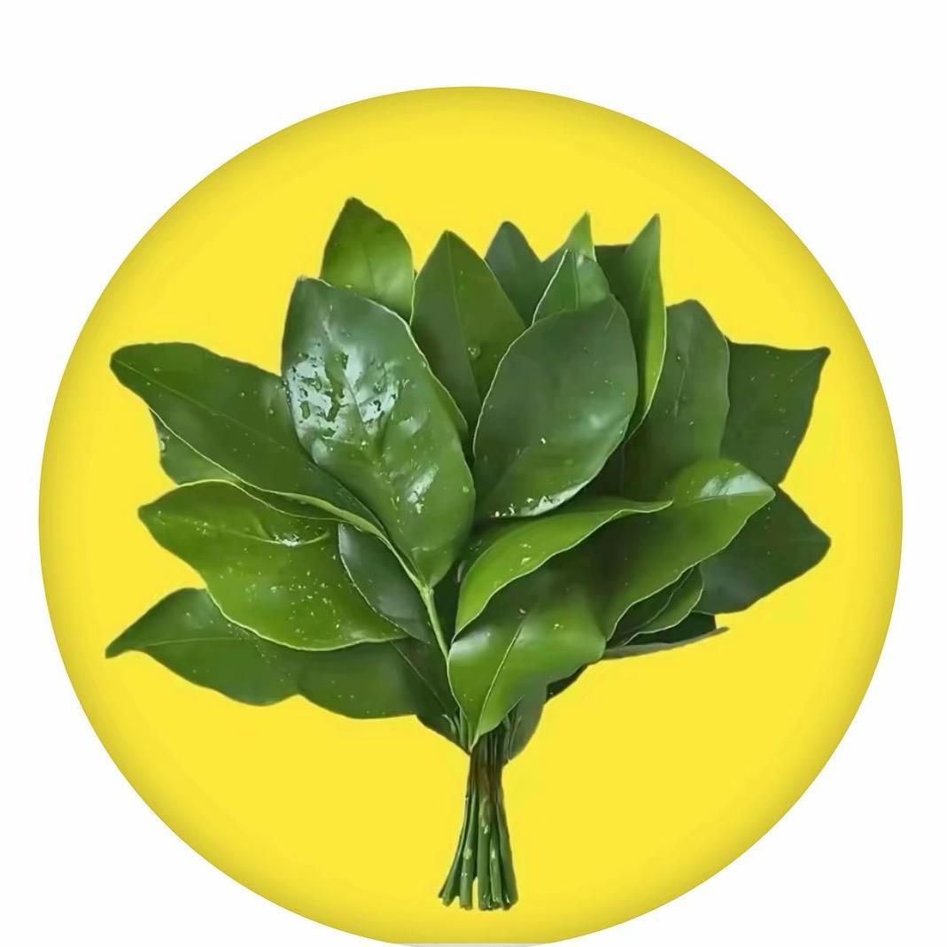 小殿下